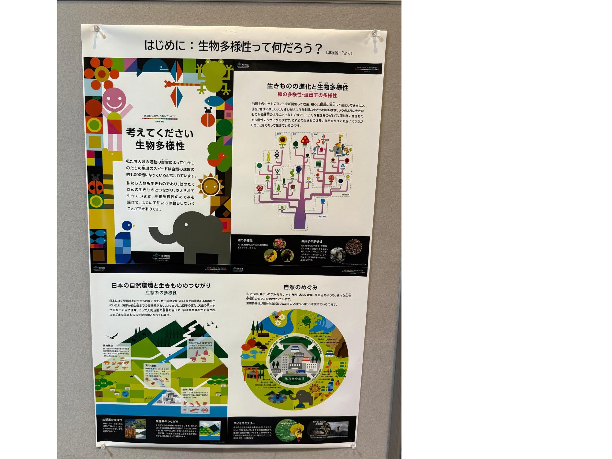 生物多様性ってなんだろう？