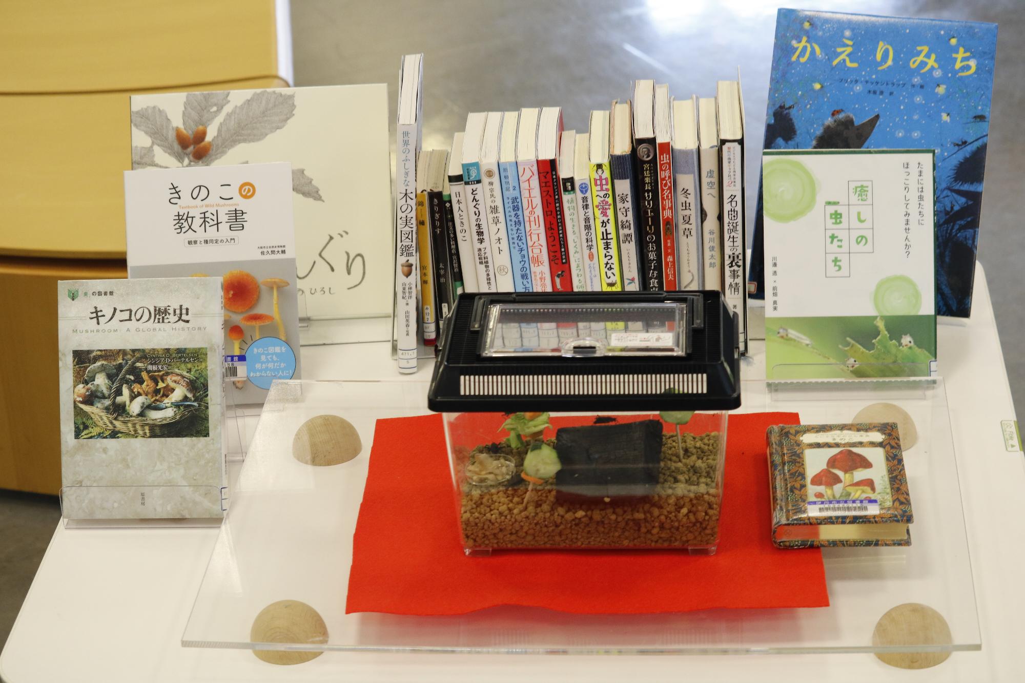 イベントの様子