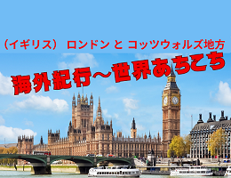 チラシイメージ画像