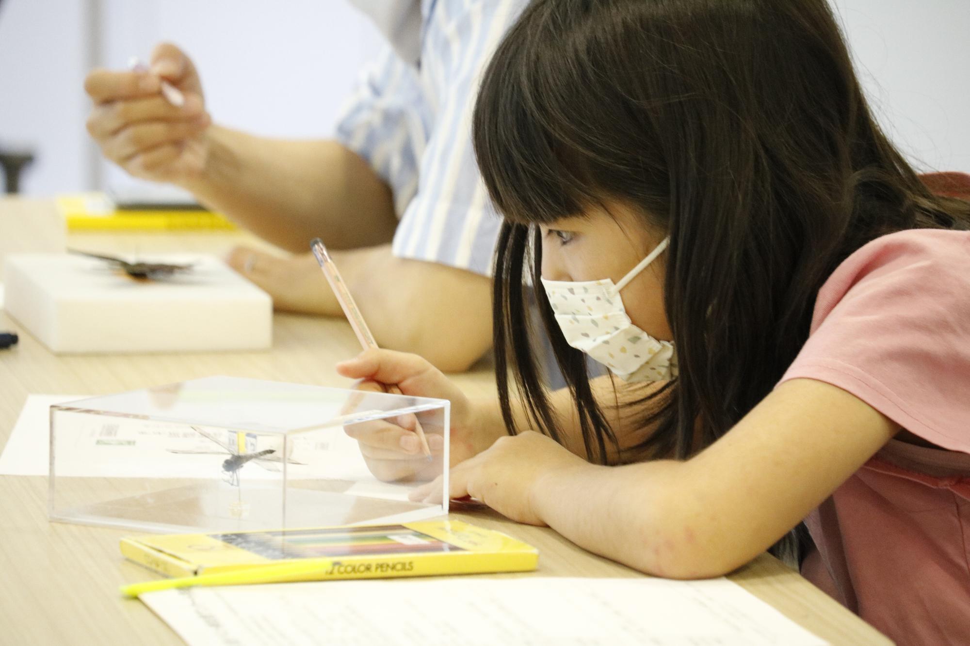 イベントの様子