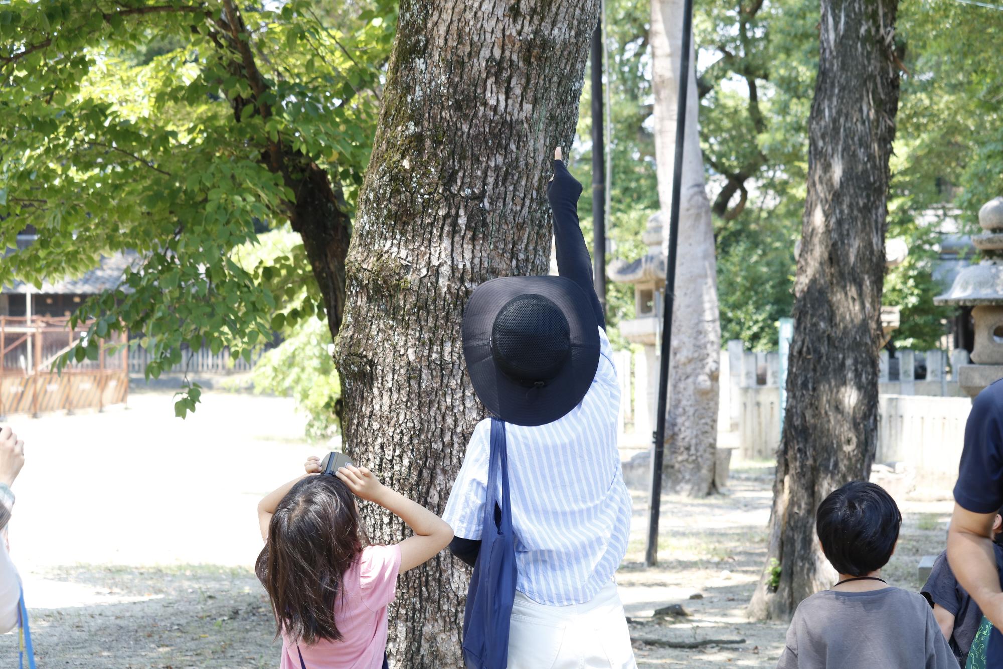 イベントの様子