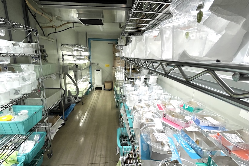 （イメージ）うらがわ探検