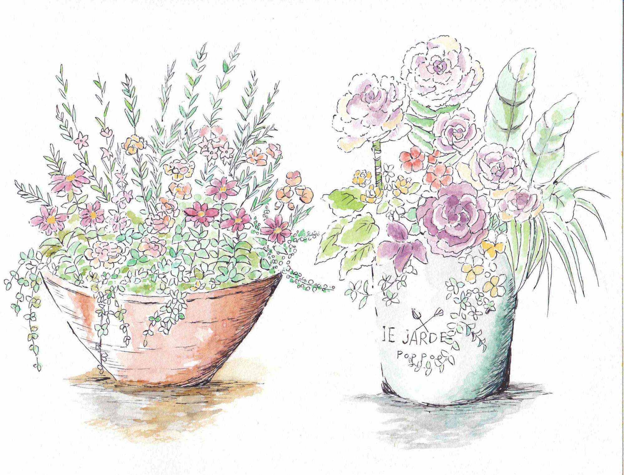 （イメージ）秋の寄せ植え講習会