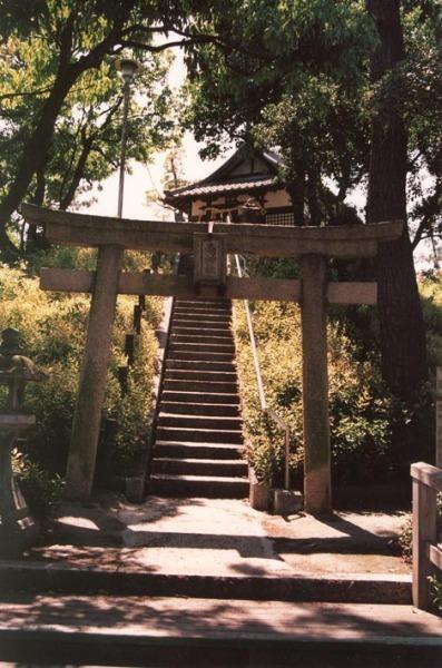 写真： 朝日を浴びて(御願塚古墳）