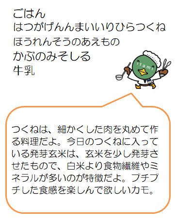 発芽玄米いり平つくねなど
