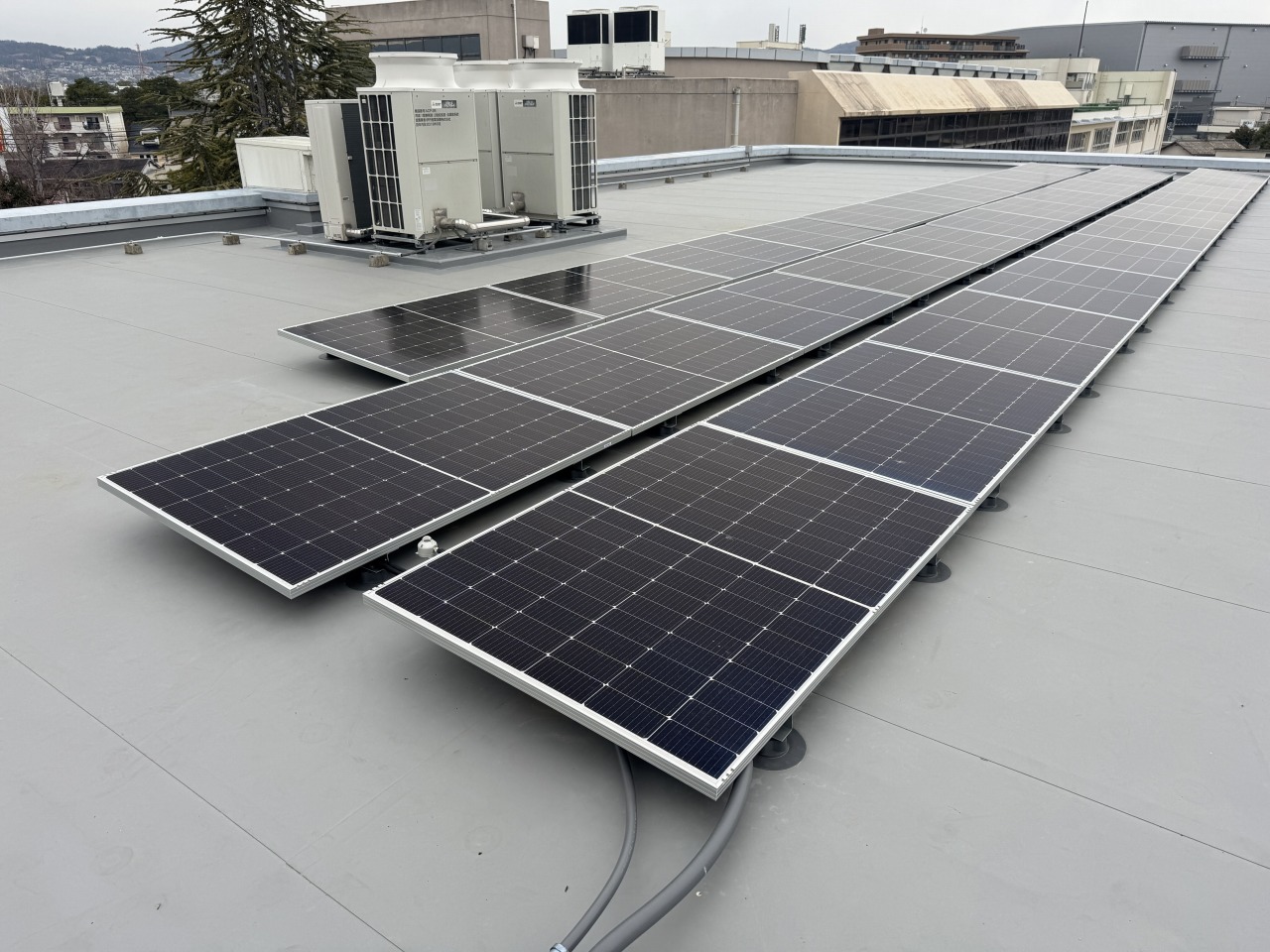 伊丹市立緑丘小学校の太陽光発電設備設置後の写真