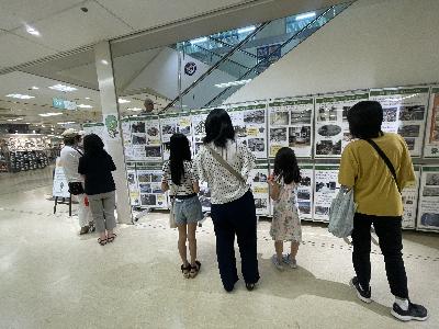 パネル展示の様子