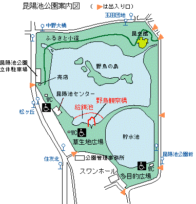 昆陽池公園の案内図