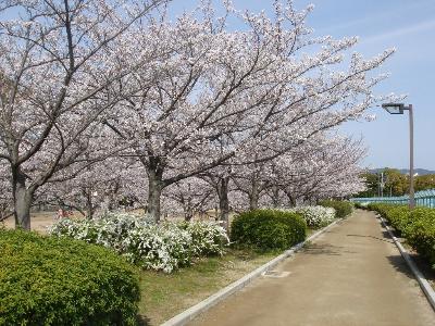 瑞ヶ池公園の写真